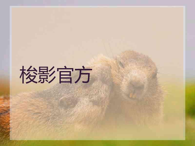 梭影官方