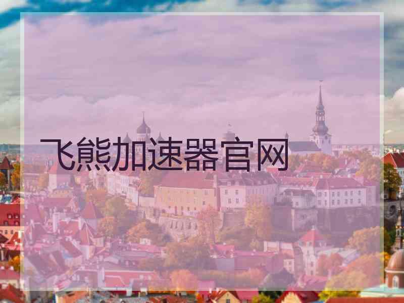 飞熊加速器官网