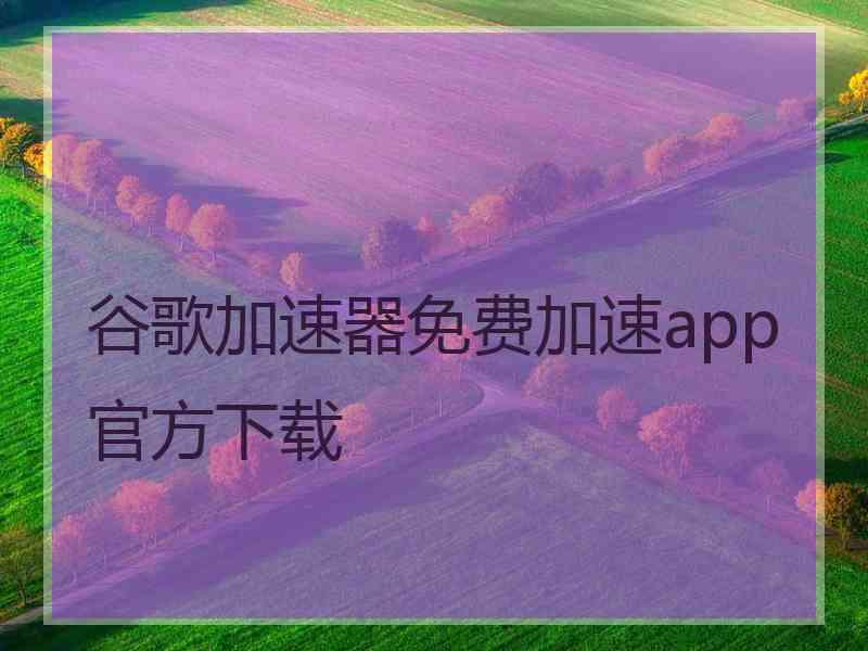 谷歌加速器免费加速app官方下载