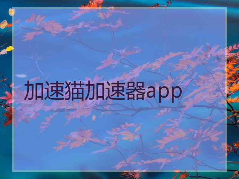 加速猫加速器app
