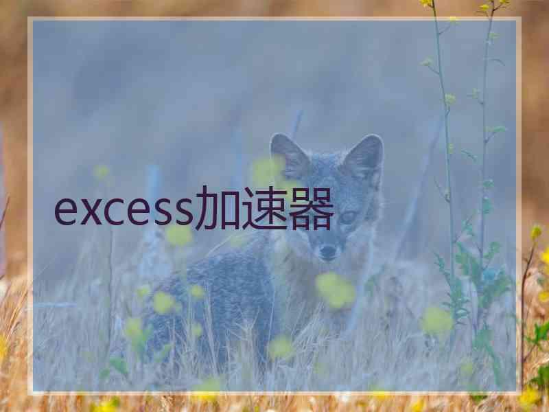 excess加速器