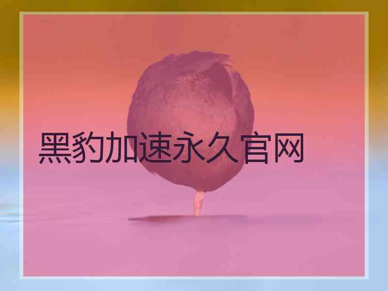 黑豹加速永久官网