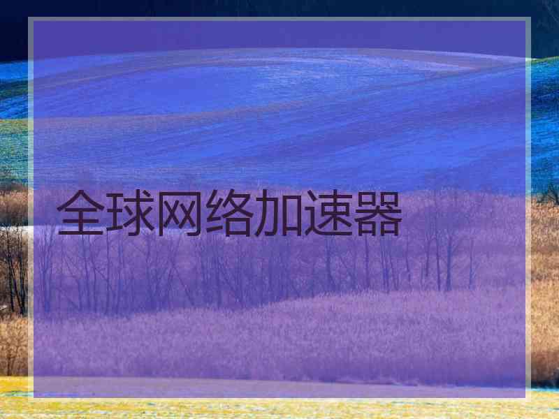 全球网络加速器