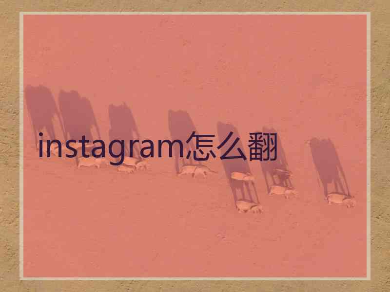 instagram怎么翻