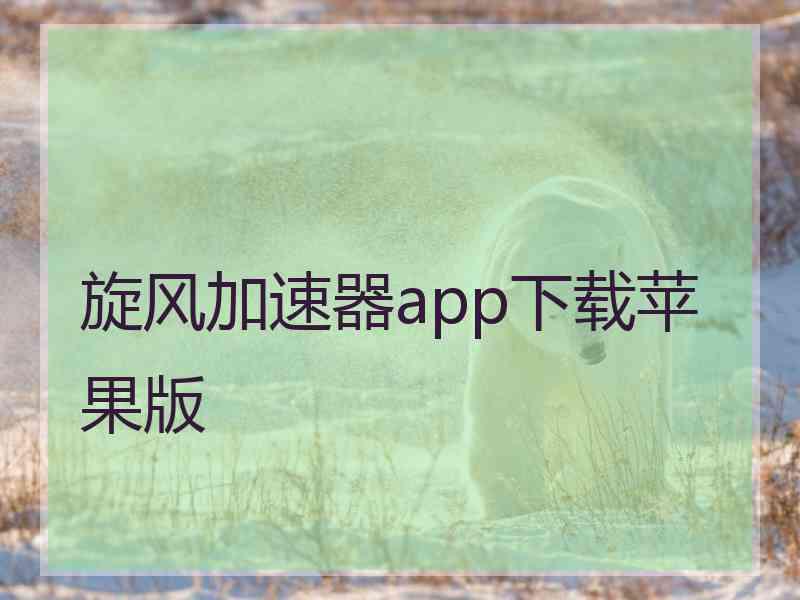 旋风加速器app下载苹果版