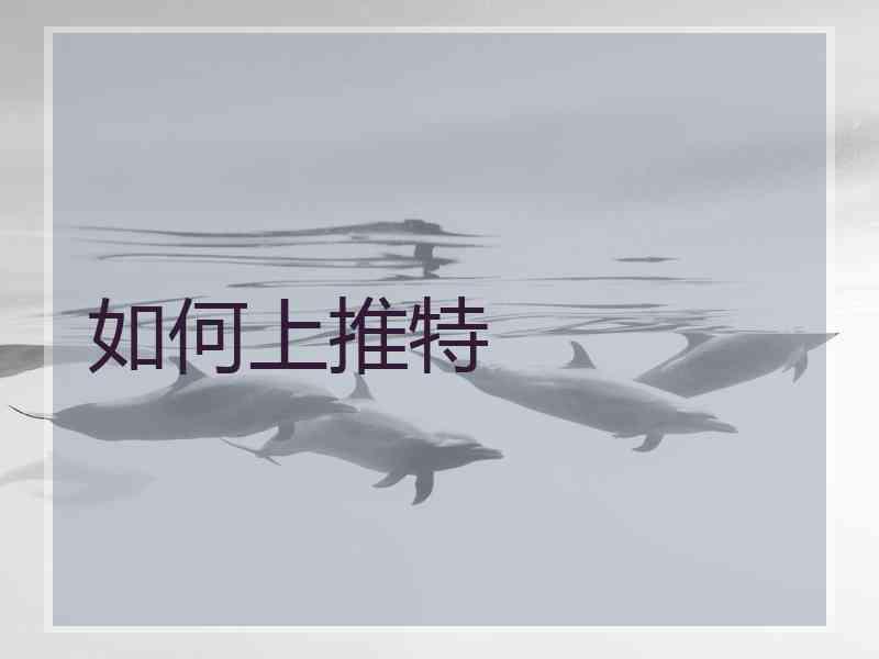 如何上推特