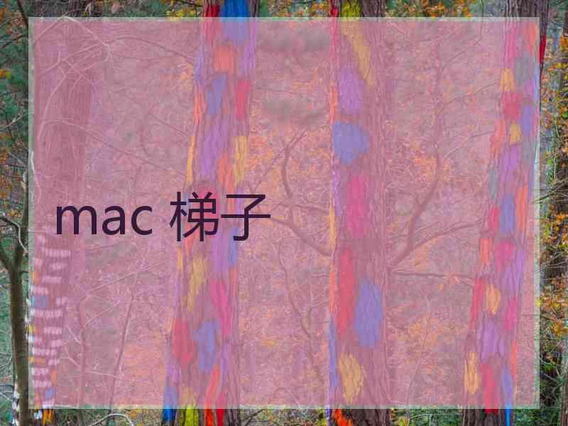mac 梯子