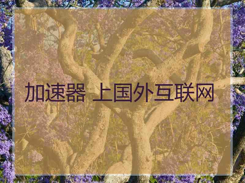 加速器 上国外互联网