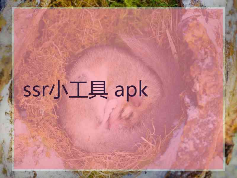 ssr小工具 apk