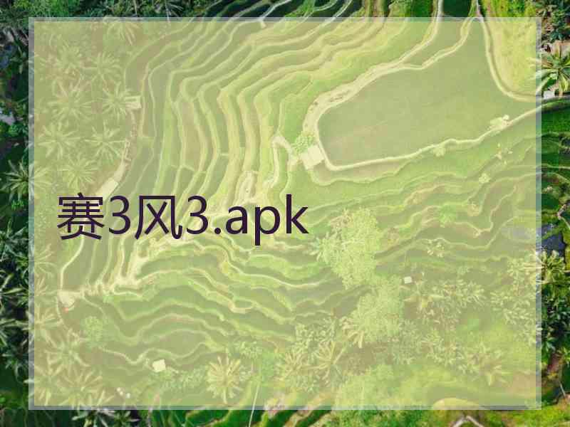 赛3风3.apk