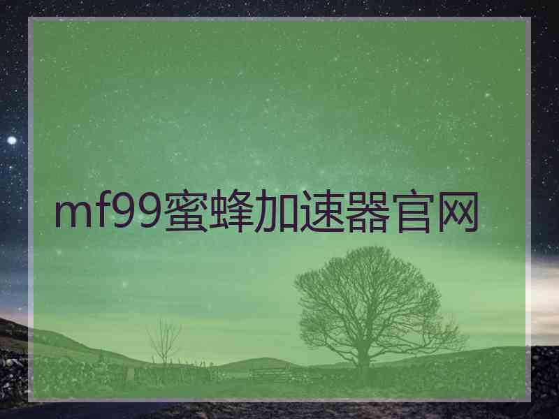 mf99蜜蜂加速器官网
