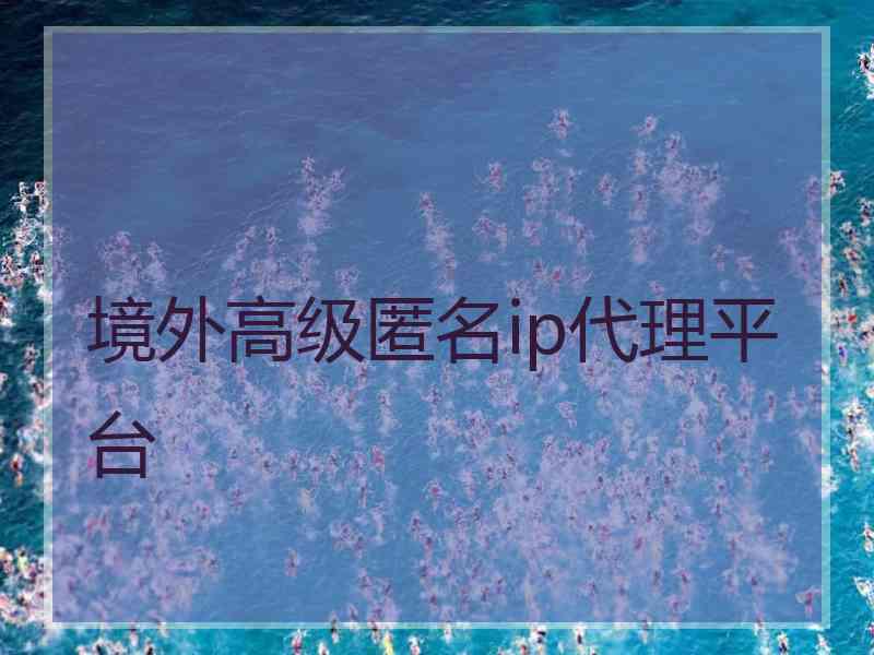 境外高级匿名ip代理平台
