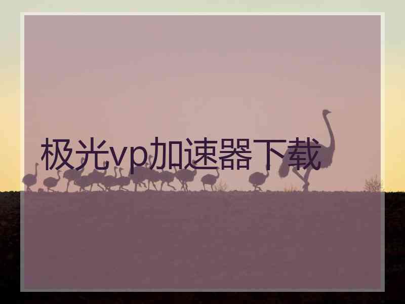 极光vp加速器下载