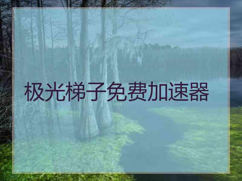 极光梯子免费加速器