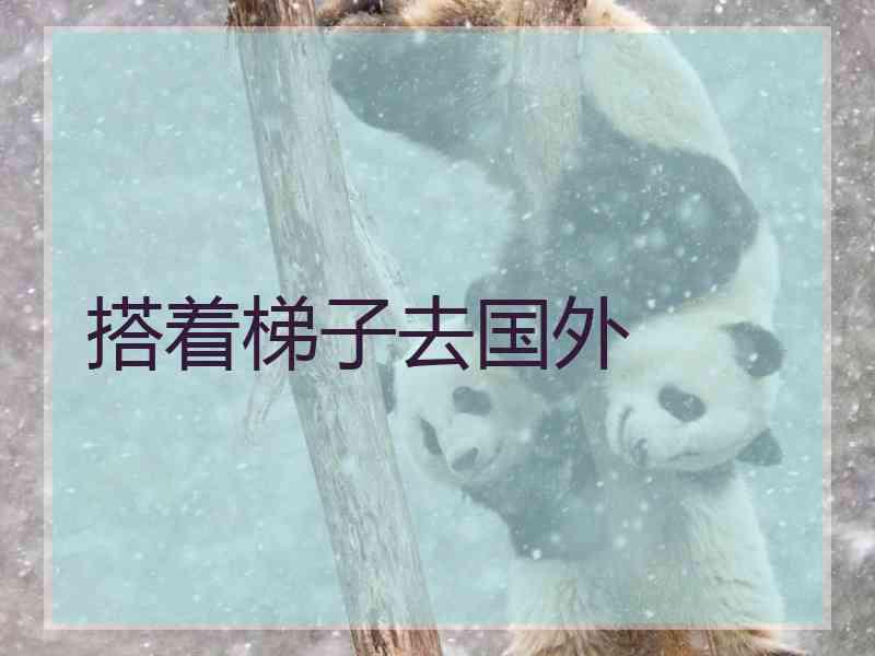 搭着梯子去国外
