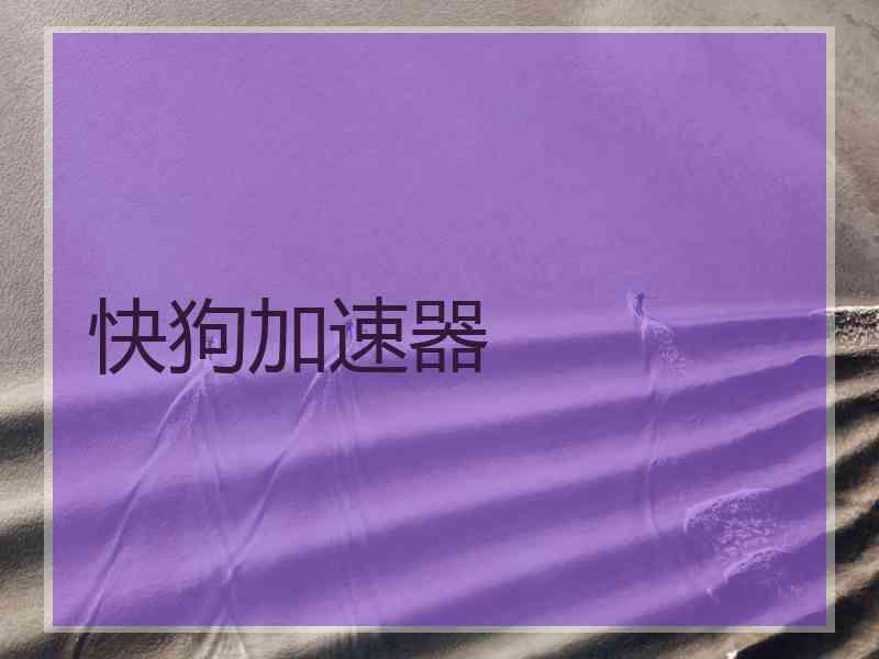 快狗加速器