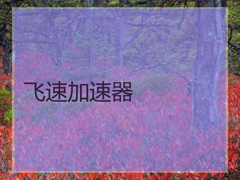 飞速加速器