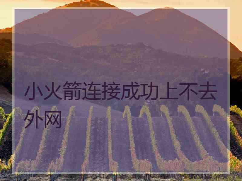 小火箭连接成功上不去外网
