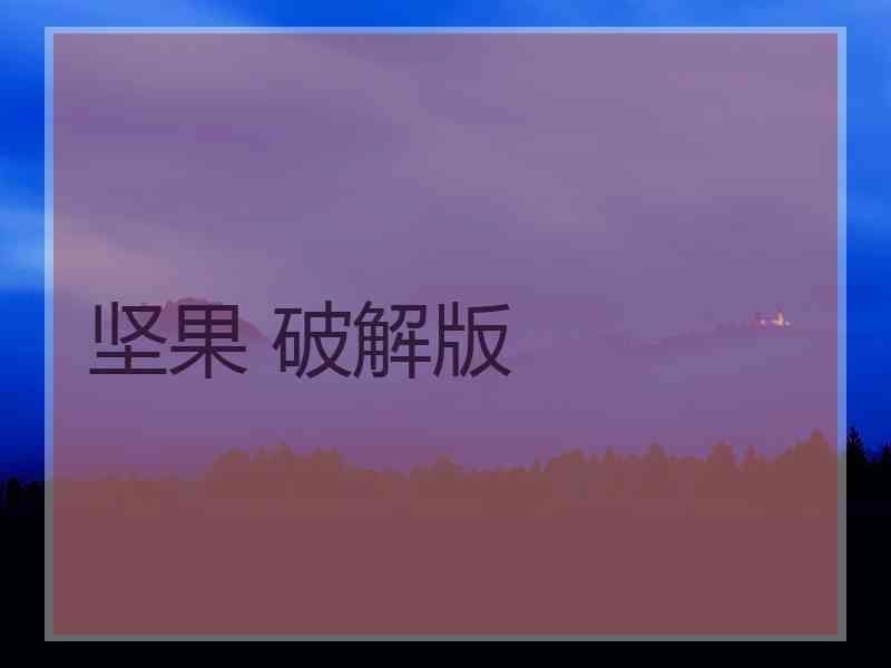 坚果 破解版
