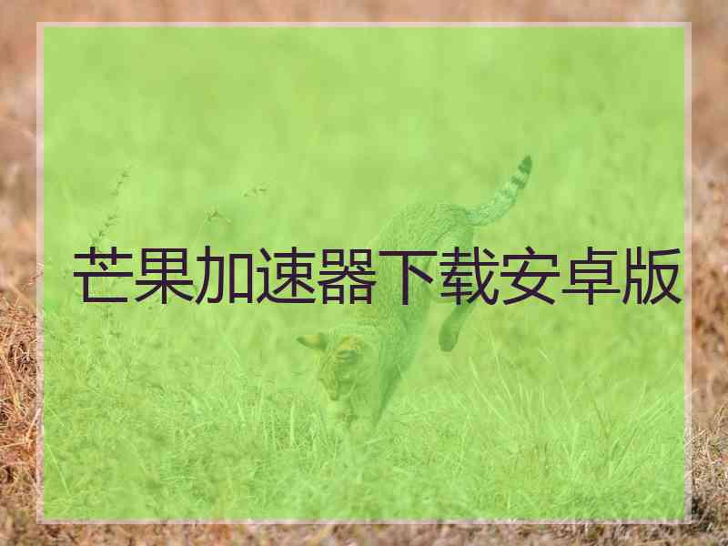 芒果加速器下载安卓版