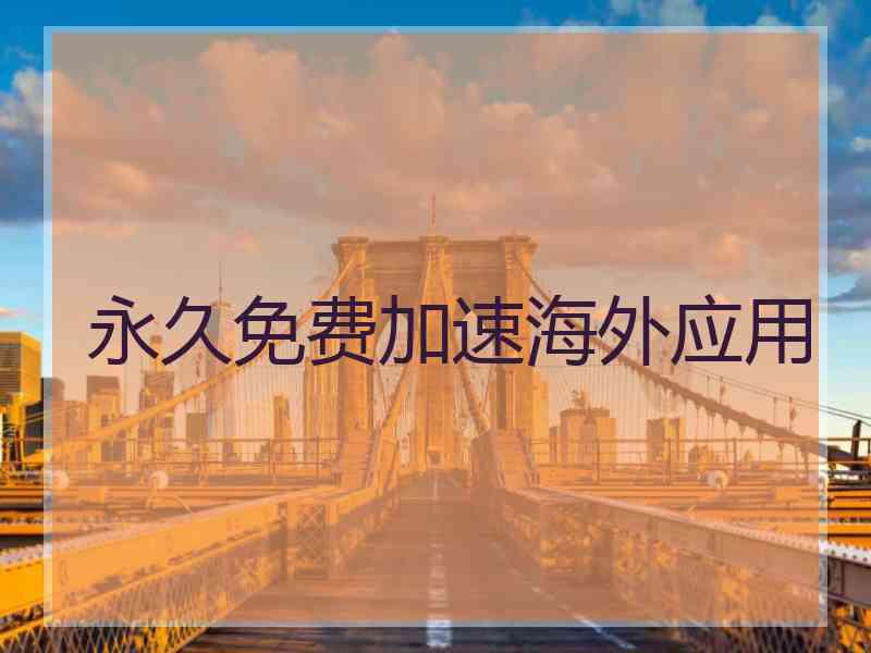 永久免费加速海外应用