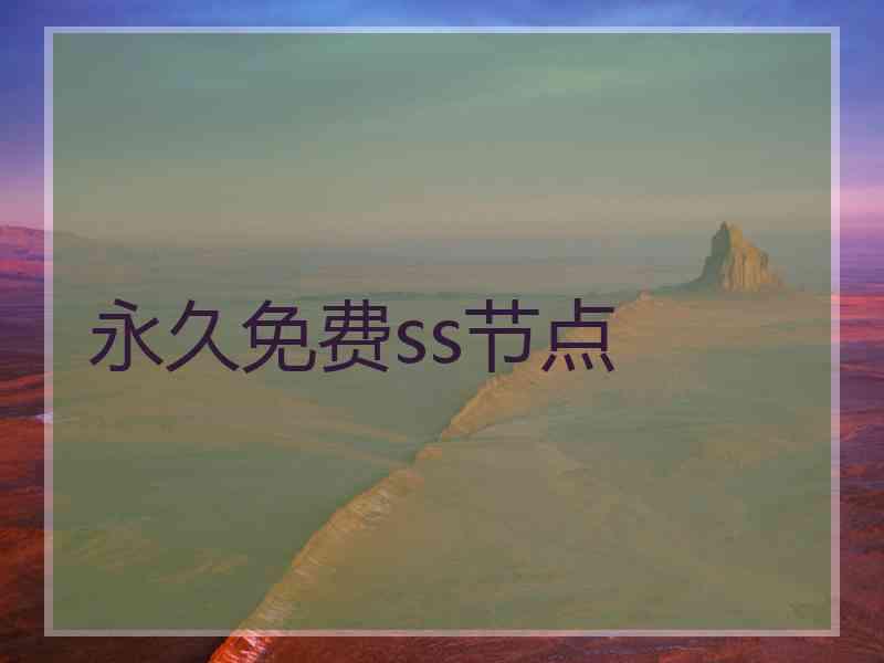永久免费ss节点