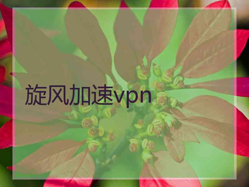 旋风加速vpn