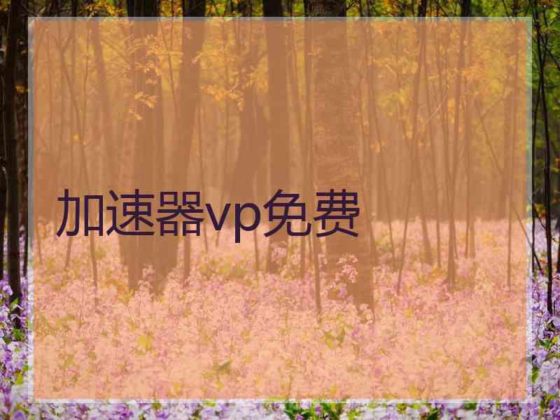 加速器vp免费