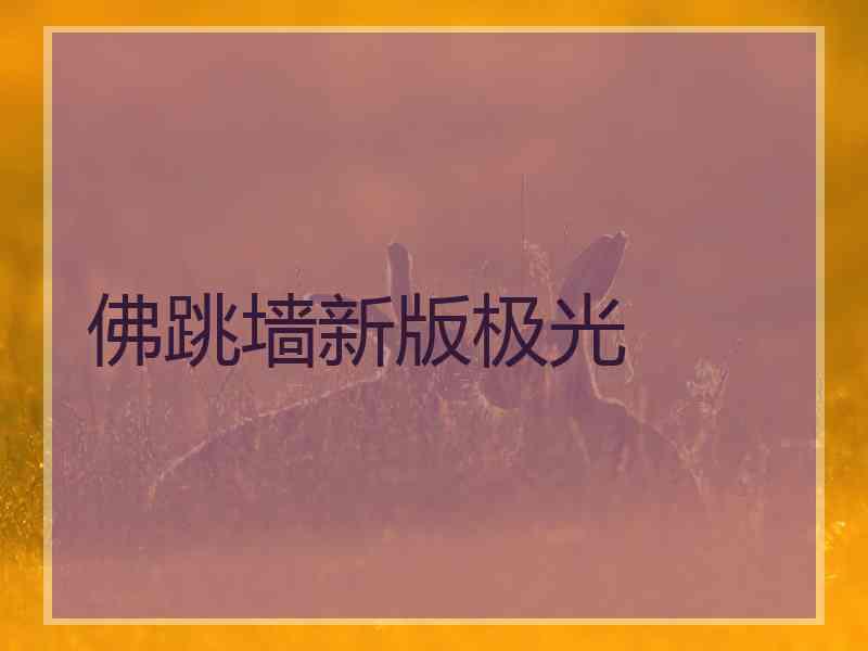 佛跳墙新版极光