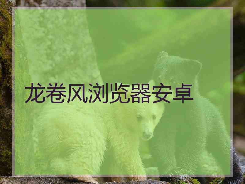 龙卷风浏览器安卓