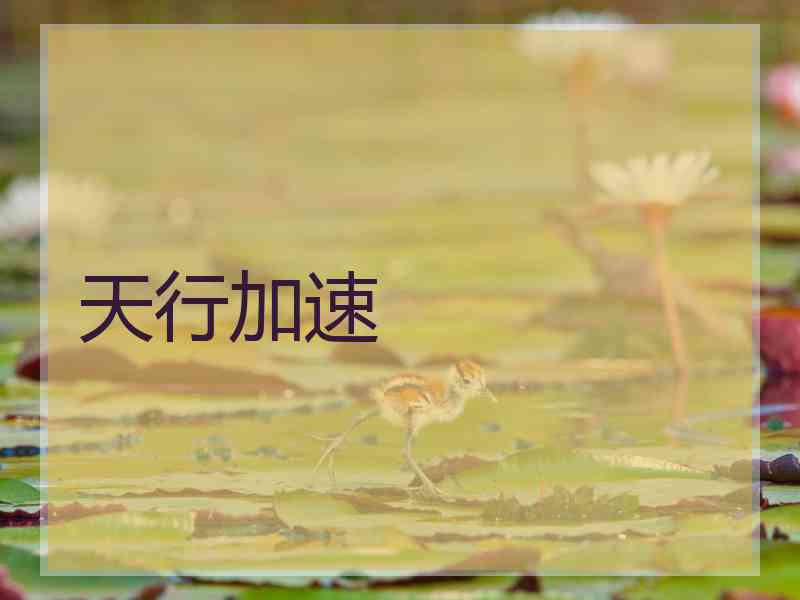 天行加速