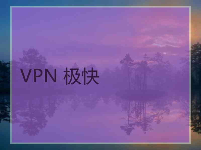 VPN 极快