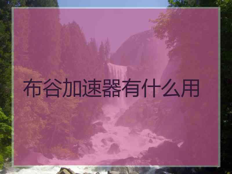 布谷加速器有什么用