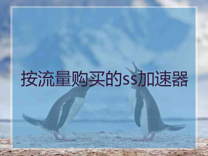按流量购买的ss加速器