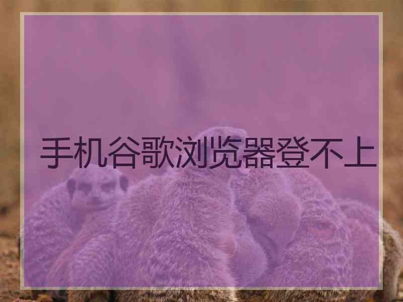 手机谷歌浏览器登不上
