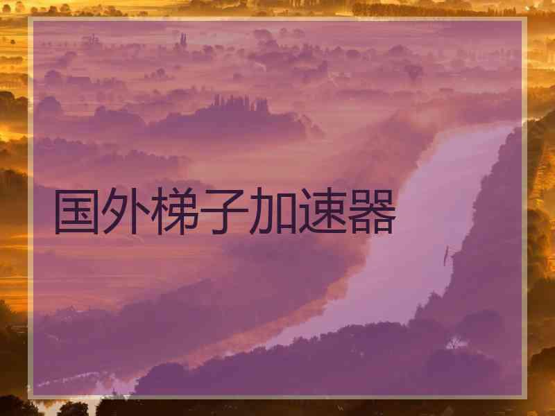 国外梯子加速器