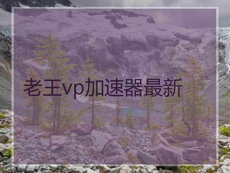 老王vp加速器最新