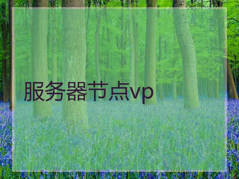 服务器节点vp